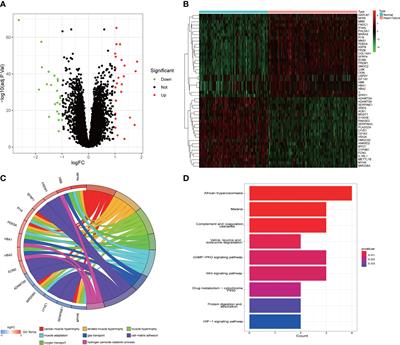 Heart failure–related genes associated with oxidative stress and the immune landscape in lung cancer